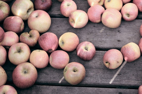 Kitchen Apple Decor Fine Art Food Photography wall print 11x14 apple trees farm fresh apple cider picnic