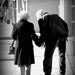 Still In Love 16 X 20 Artistic Print