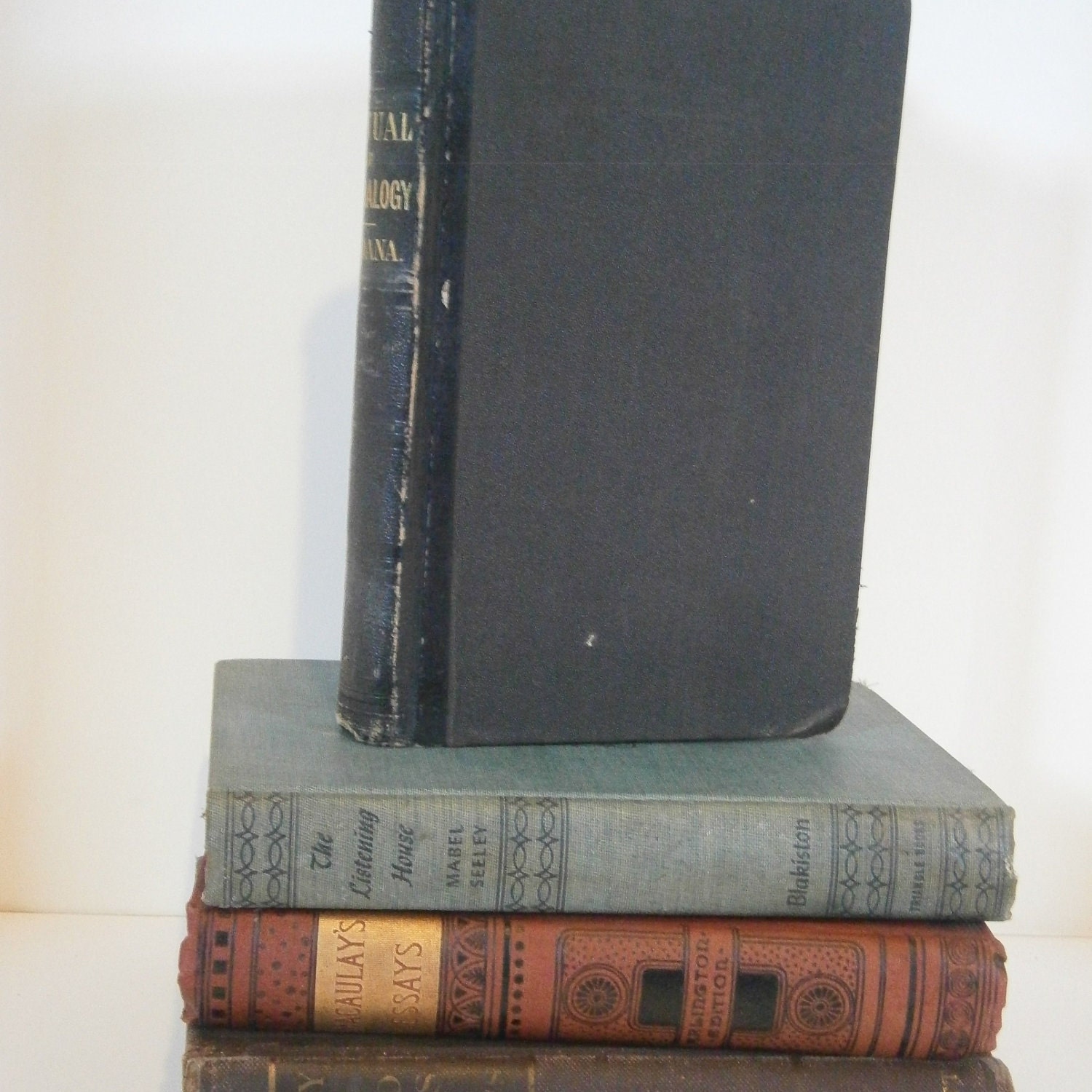 Manual of Mineralogy - Antique Books - James D. Dana -School College Textbook