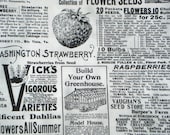 Annie's Seed Catalogue Holly Holderman Lake House Dry Goods fabrics FQ or more