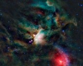 Rho Ophiuchi 12 x 12-inch Fine Art Astronomy Print