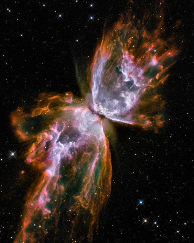 Butterfly Nebula 8x10 inch Deep Space Photograph on Glossy Photo Paper