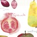Seasonal fruits poster, Fall fruits illustration 8X10 print, Kitchen decor, Watercolor food art, autumn colors wall decor