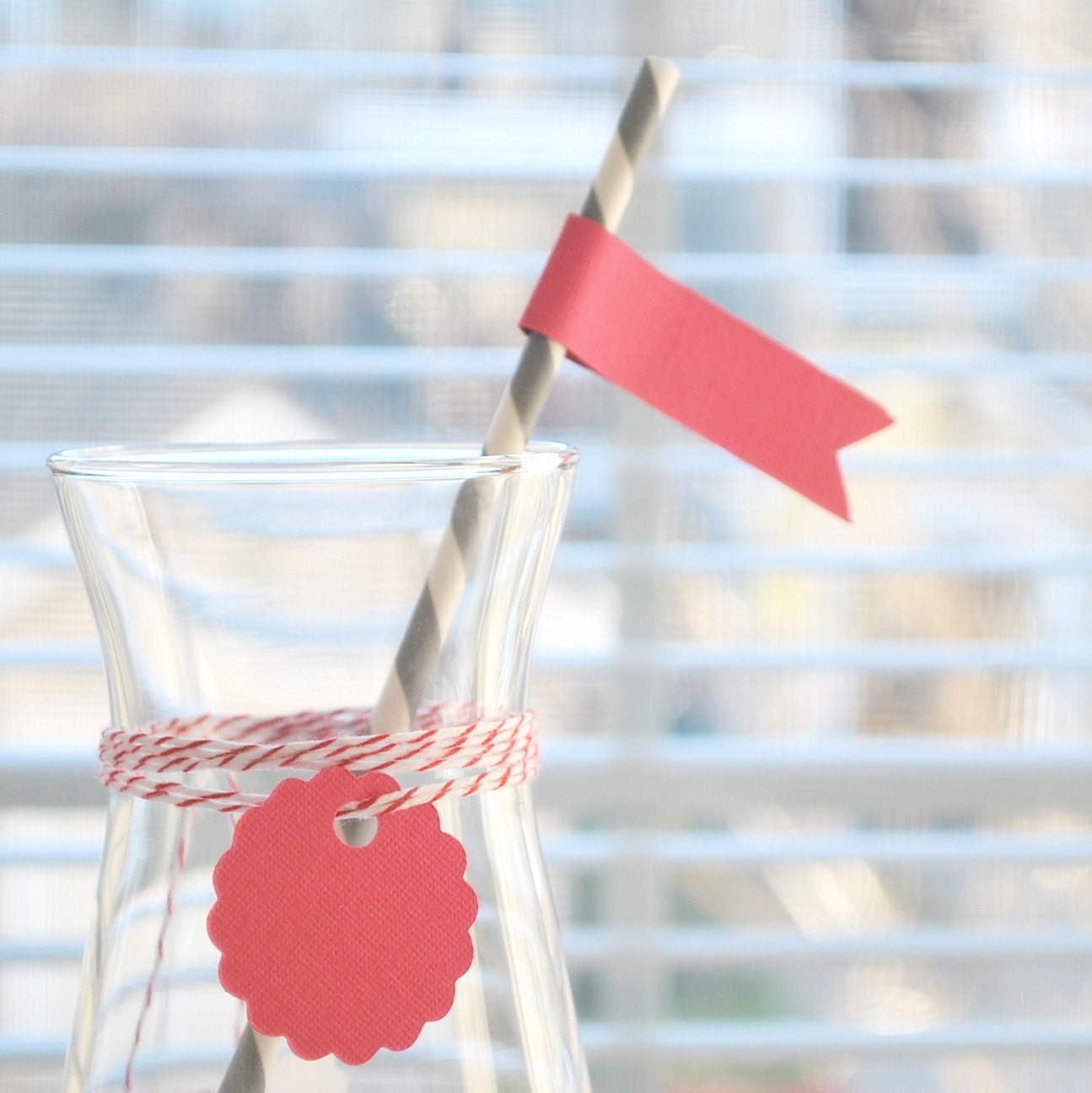 DIY Party Set Paper Drink Straws with Flags (Set of 12) A118