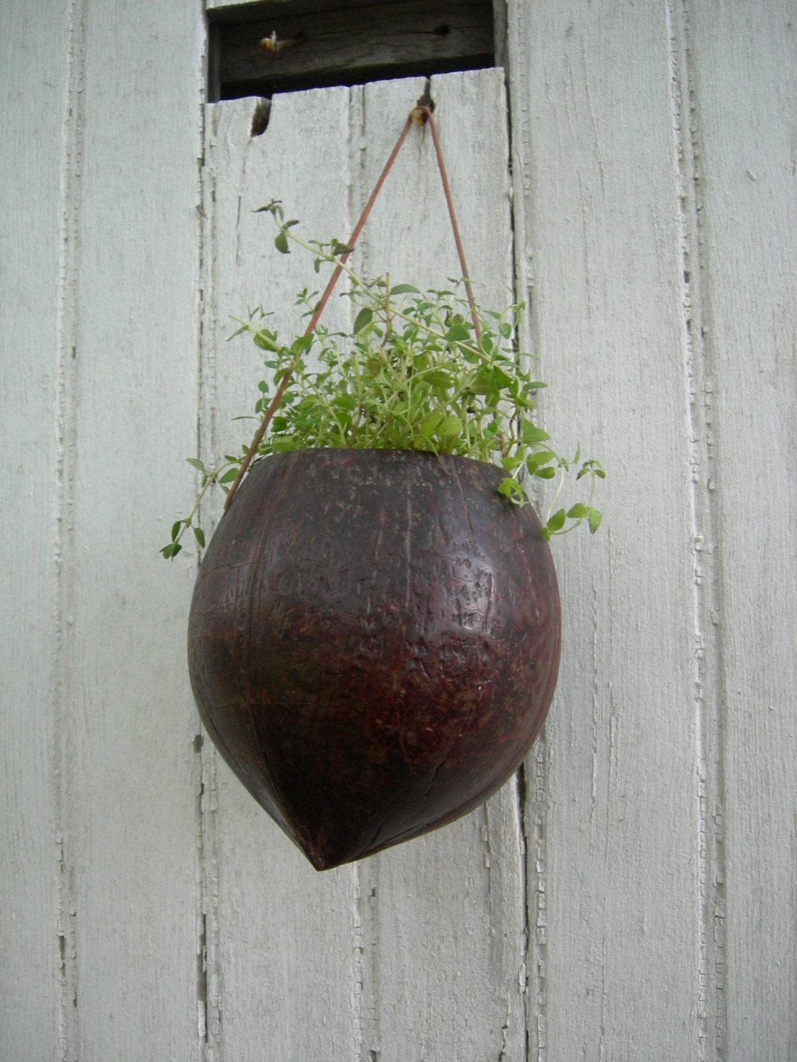 Vintage Coconut Planter