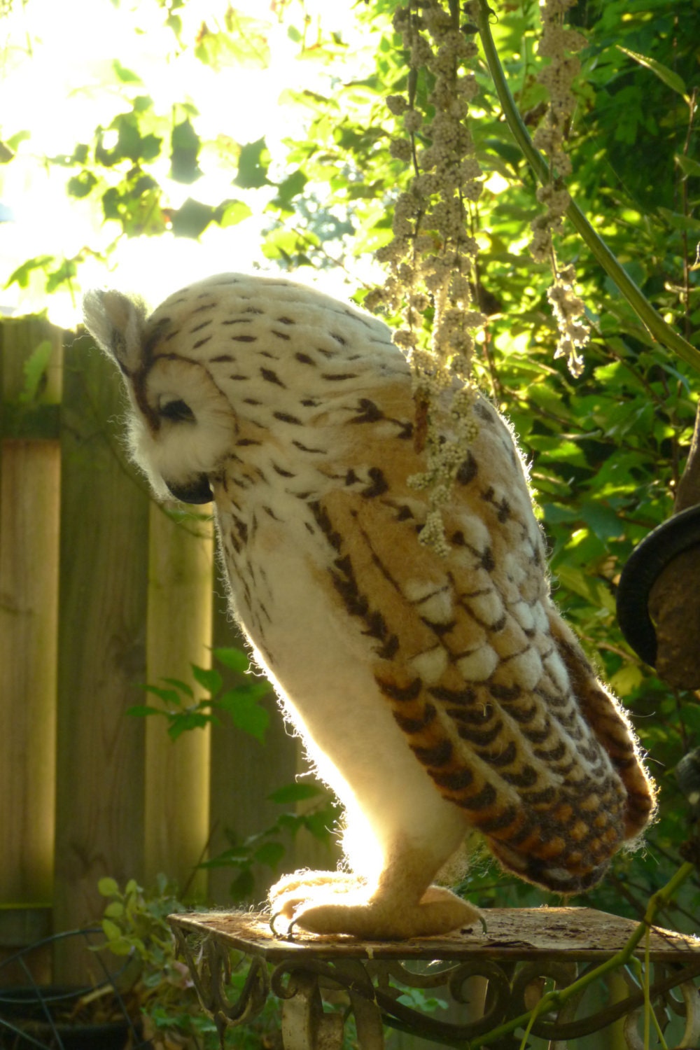 Eagle Owl, Bubo Bubo, Uhu FREE SHIPPING