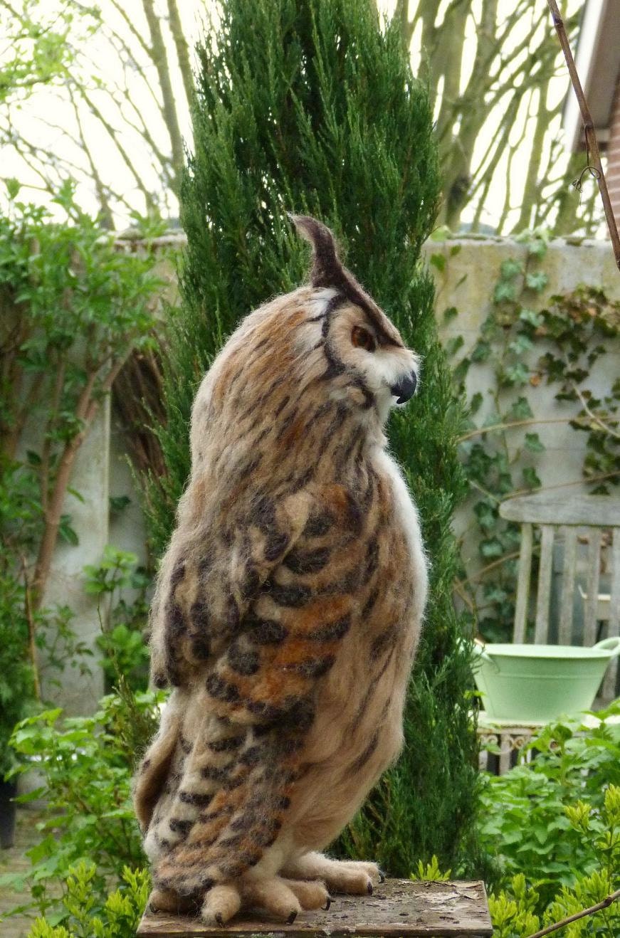 Eurasian Eagle-Owl (Bubo bubo)