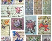 Flowerama- Digital Collage Sheet- Clip Art Elements- Digital Scrapbooking