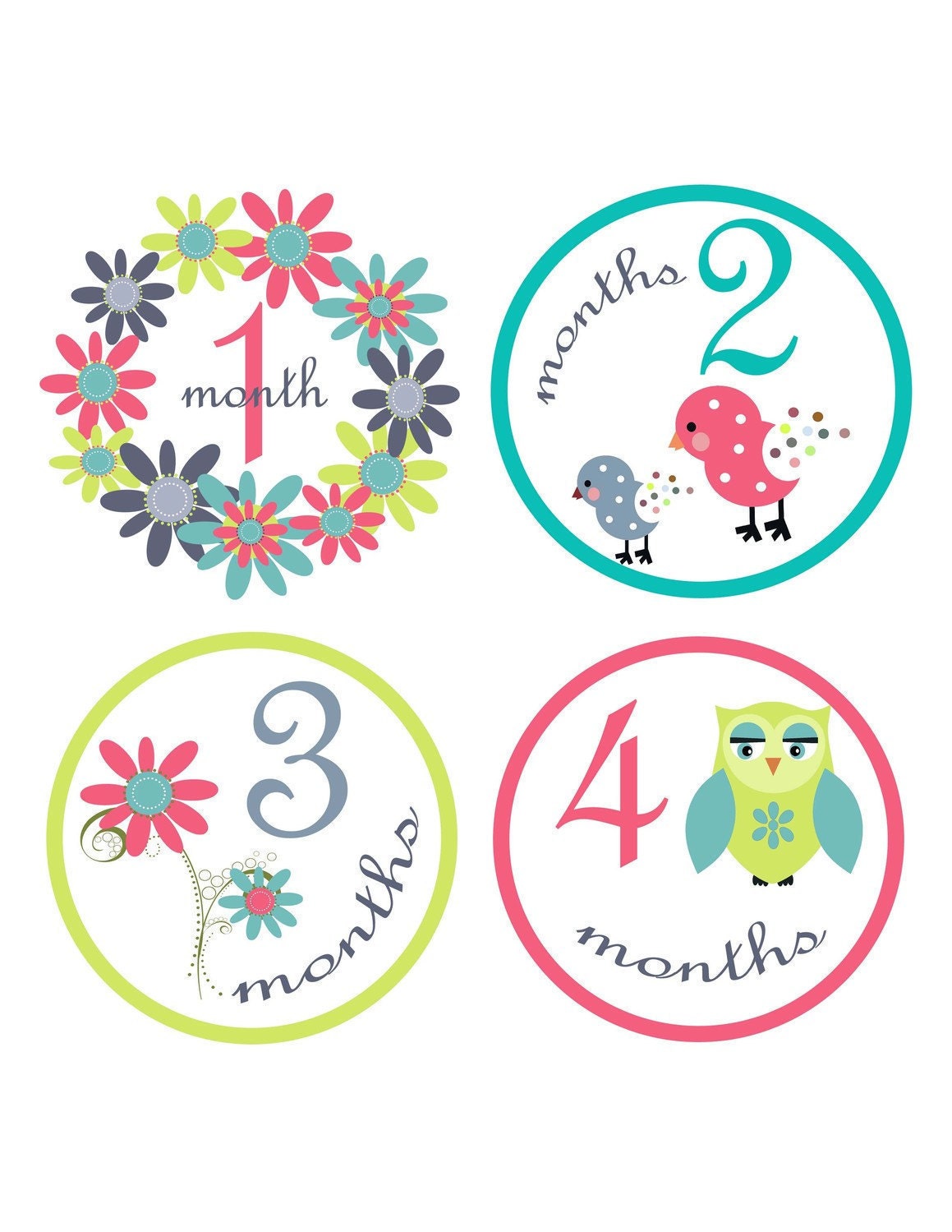 Baby Month Stickers Baby Girl Monthly Onesie Stickers Monthly Onesie Sticker Girl Baby Shower Gift Photo Prop Baby Milestone Sticker