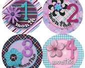 Baby Month Stickers Baby Girl Monthly Onesie Stickers Monthly Onesie Sticker Girl Baby Shower Gift Photo Prop Baby Milestone Sticker