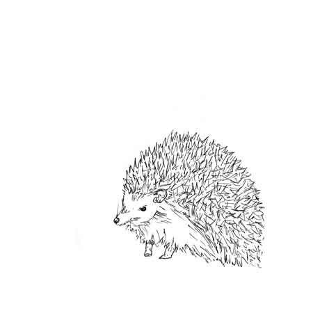 Mr Hedgehog (Limited Edition Print on Bamboo)