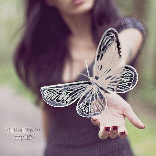 Butterflies In My Life 8 x 8 Fine Art Photograph
