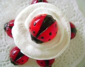 Gummy Ladybug Cupcake Toppers Ladybug Candy