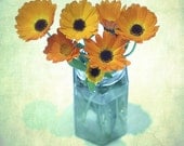 Fine art flower photography Any size up to 16x16 digital download mint green orange