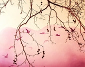 Digital download Pink art - Romantic photo - gift for teen girls room - tree branches - feminine - valentines day