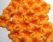 Gum Paste Light Orange Gum Paste Blossoms 25 piece EDIBLE