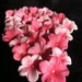 Gumpaste Cake Decorations Different Shades of Pink  Cherry Blossoms 25 piece