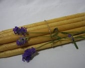 EAR CANDLES NATURAL  Beeswax - Set of 50 ear candles