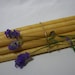 EAR CANDLES NATURAL Beeswax - Set of 50 ear candles