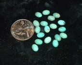 Turquoise Cabochon