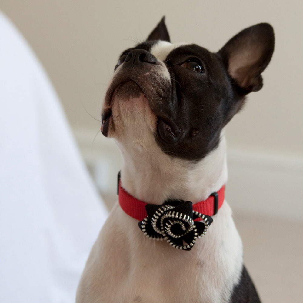 Black Zipper Dog Collar Flower - Free Shipping Worldwide