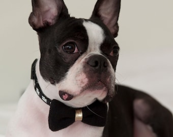 Dog Bow Tie Black with Gold Knot - Free Shipping Worldwide