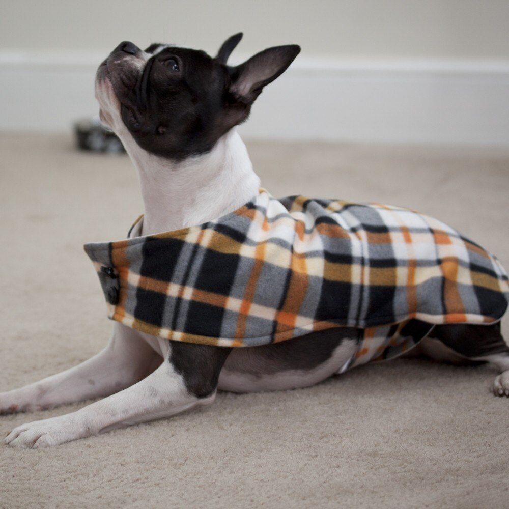 plaid dog coat