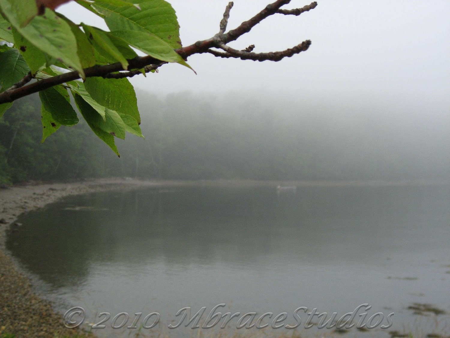 Ocean Photograph - 11 x 14 Fine Art Photo - Foggy Cove Penobscot Bay, Maine