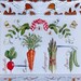 Ornate "Veggie" wood tray