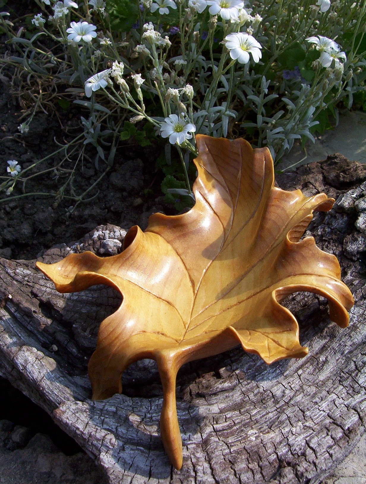Hand Carved Maple Leaf