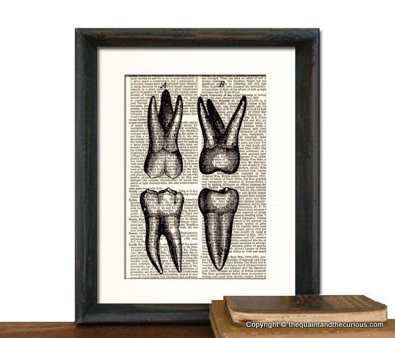 Teeth Dental Dentistry Print Vintage Dental Book Page - Beautifully Matted Graduation Fathers Day Gift Present Home Office Decor