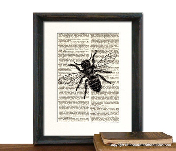 Bee Print Vintage Book Page - Beautifully Matted Graduation Fathers Day Gift Present Home Office Decor