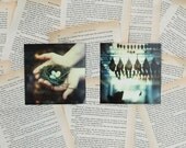 Fauna Duo - Two 5x5 Polaroid Prints