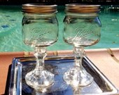4 Redneck 'Rita Glasses