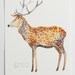deer art print illustration drawing brown white orange home decor