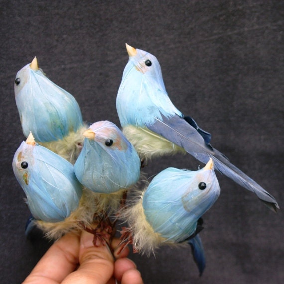 Little blue bird fly high