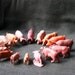 Little piggy instant collection