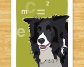 Border Collie Print 5x7 Dog Art - Einstein