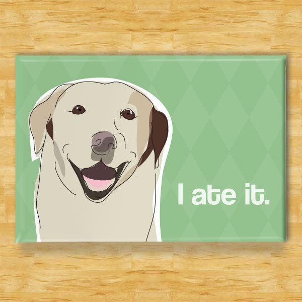 Labrador Retriever Dog Magnet - I Ate It - Yellow Lab