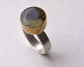 Cicada Wing Ring
