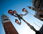Venetian Pigeon Canvas