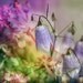 SALE: Dreamy Garden. Art Photograph 5x7inch (13x18cm), Fresh Bloom, Hostess Mom Gift, Home decor print