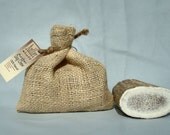Solid Large Natural Antler Dog Chew