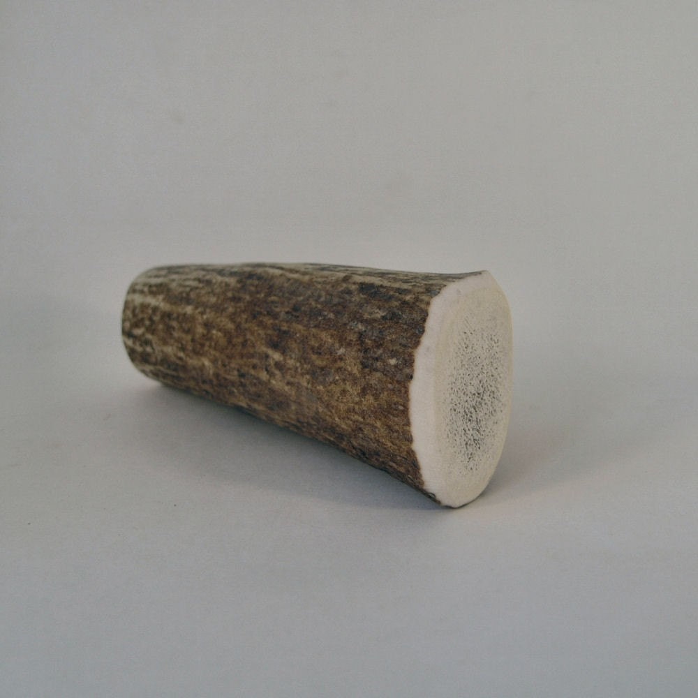 Solid Natural Antler Dog Chew