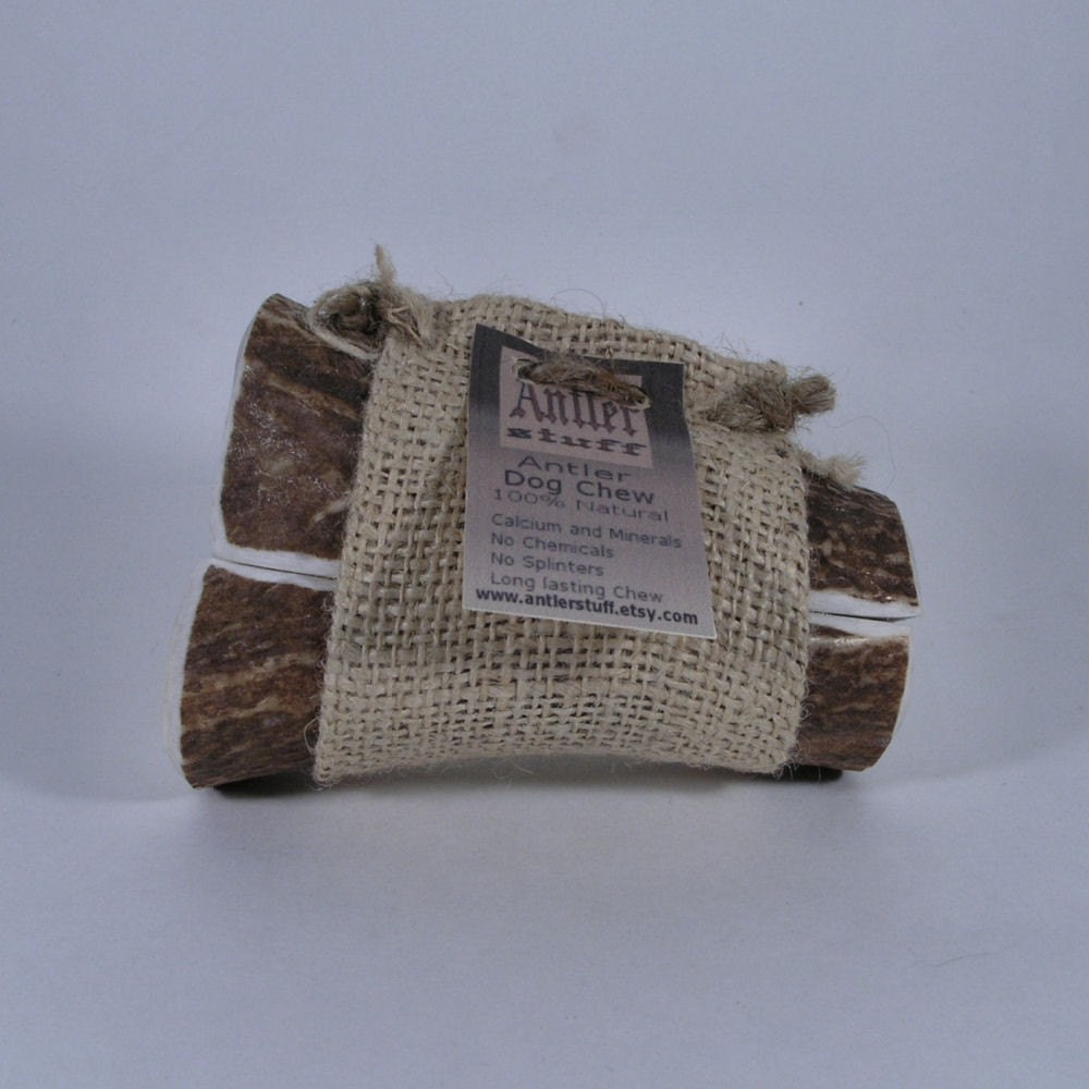 Medium Naturally Shed Elk Antler Dog Chew