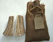 Elk Antler Dog Chews
