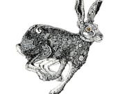 Giclee Hare Print pen and ink Hare illustration 11.7x16.5