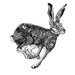 Giclee Hare Print pen and ink Hare illustration 11.7x16.5