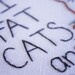 Humorous  Embroidered Quote: "I like FAT CATS and I cannot lie" - 6 inch Embroidery Hoop Fiber Art