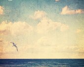 Blue- Fine Art Photography Original Print (8x8)